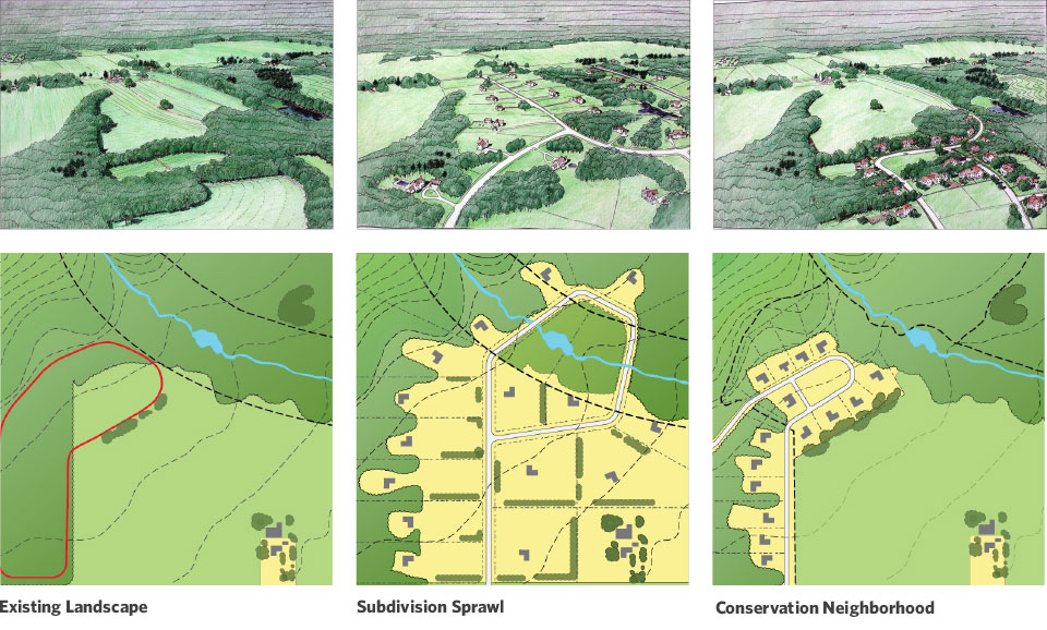 RPA_Details-Nature-N01-Conservation-Subdivisions
